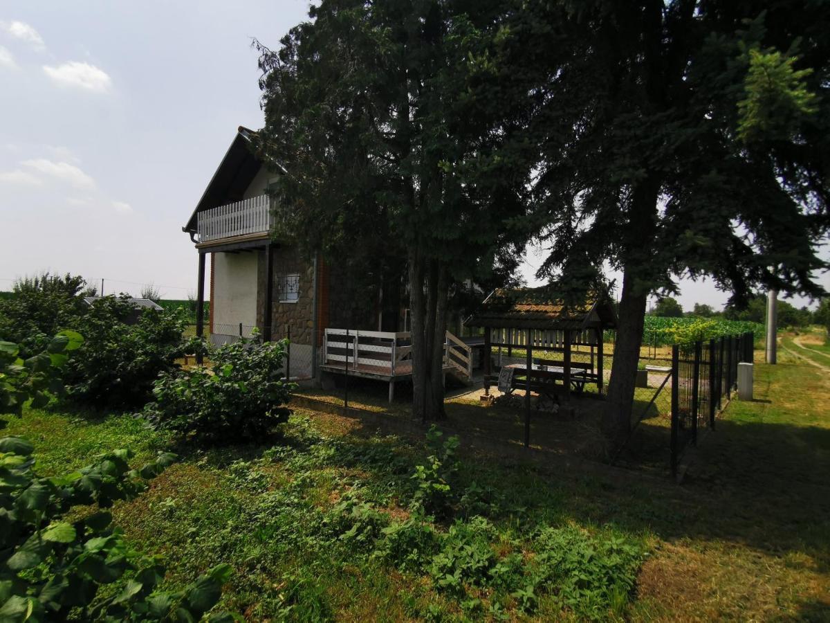 Kuca Za Odmor Bella Villa Sotin Buitenkant foto