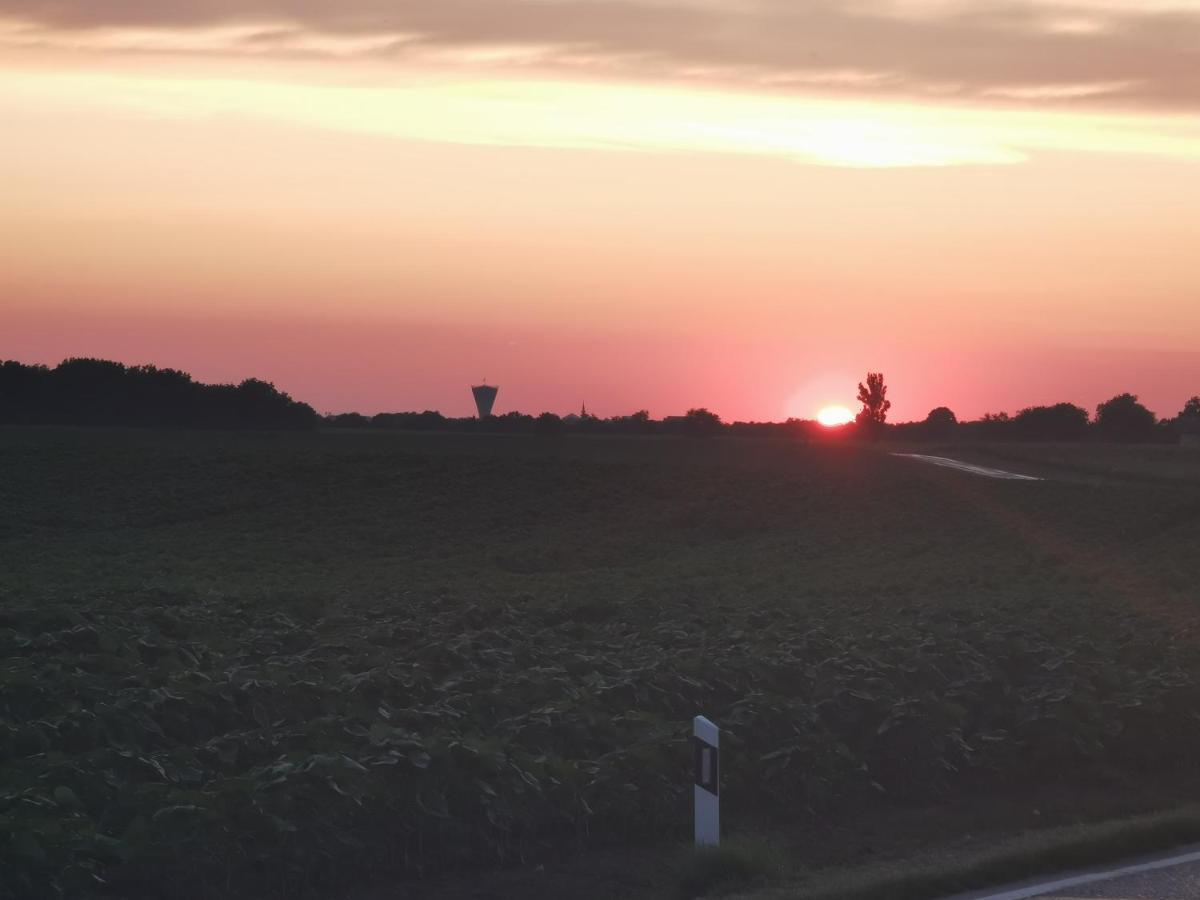 Kuca Za Odmor Bella Villa Sotin Buitenkant foto